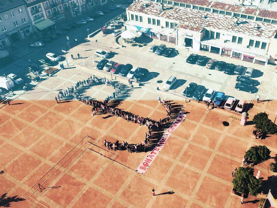 Żywa 