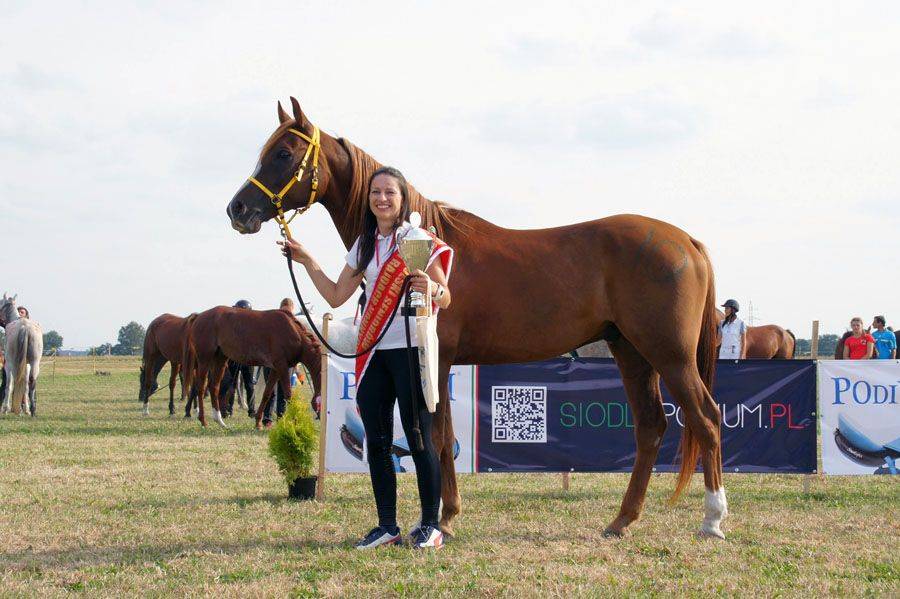 Mistrzyni Polski w Sportowych Rajdach Konnych z Szumowa [FOTO]