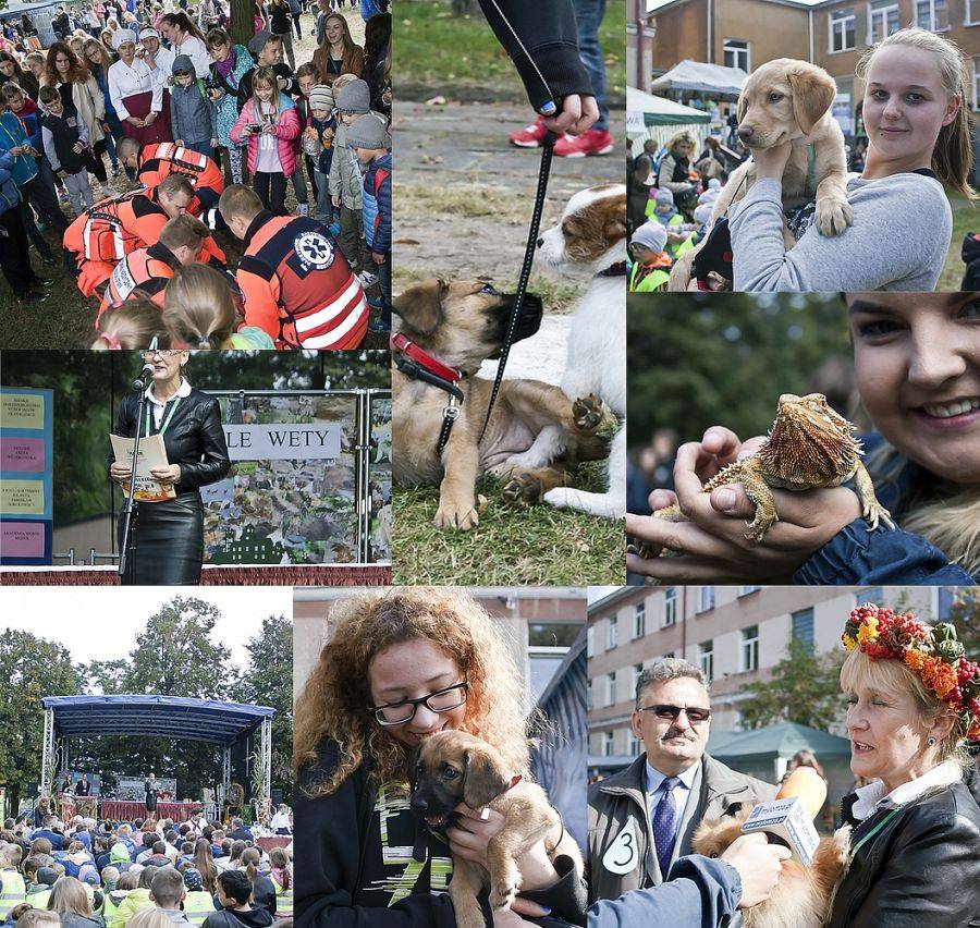 WETA  świętowała podczas dorocznego festynu [VIDEO i FOTO]