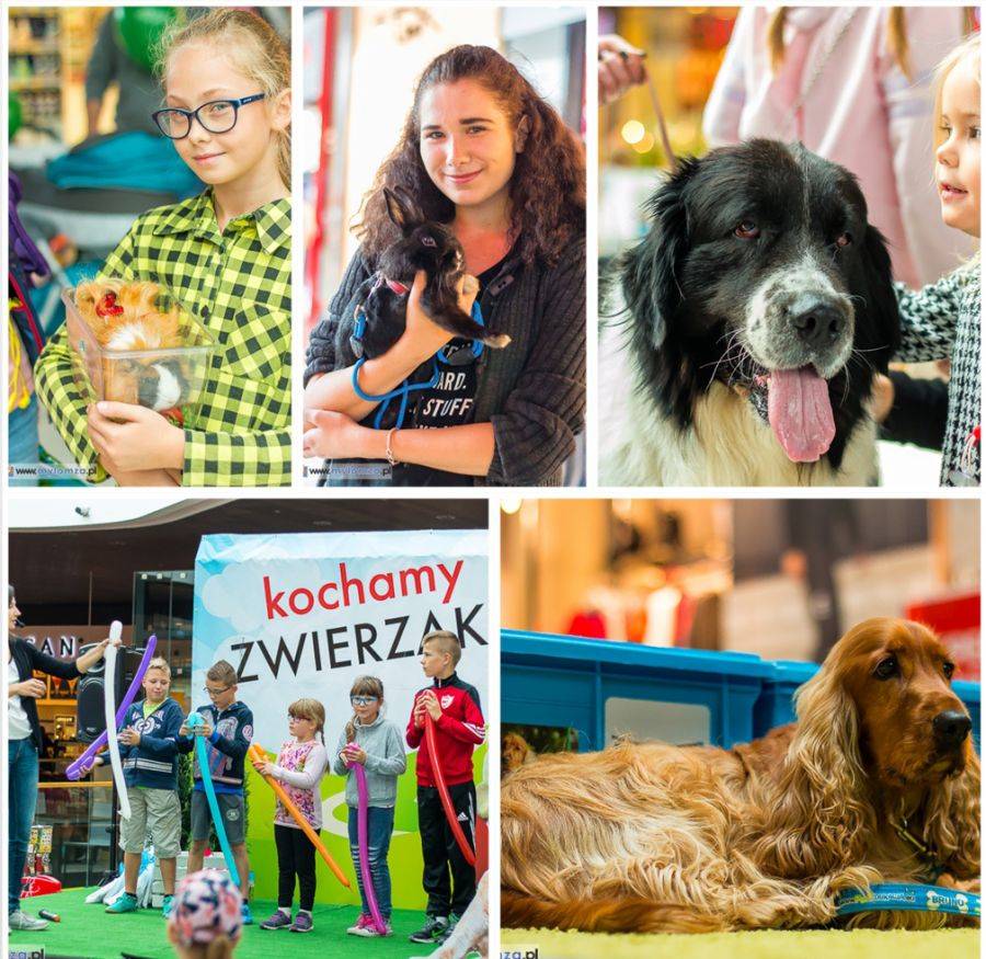 Kochamy zwierzaki razem z Galerią Veneda [VIDEO i FOTO]