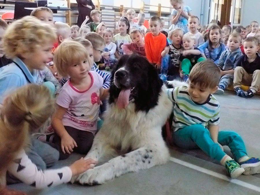 Członkowie Stowarzyszenia Wszystkie Zwierzęta Duże i Małe na Dniu Zwierząt w Piątnicy [FOTO]