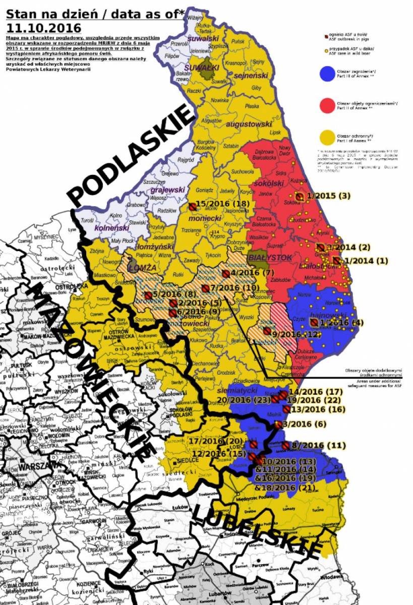 ASF – zmniejszenie ograniczeń