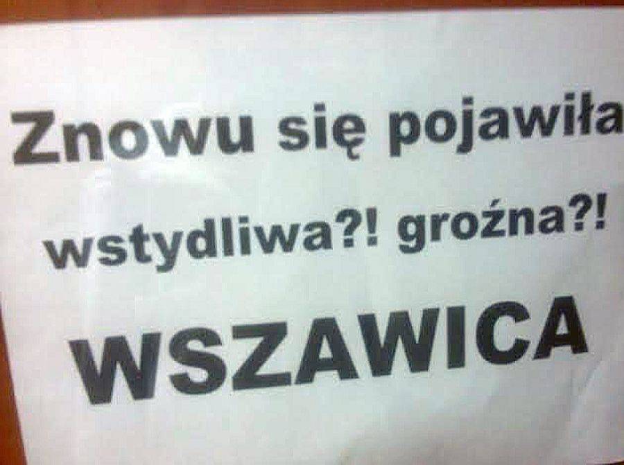 Łomża: Wszy atakują dzieci i młodzież?