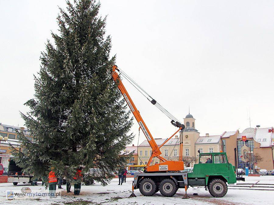 Choinka już stoi na Starym Rynku [VIDEO i FOTO]