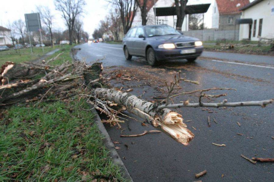 Wieje i wiać będzie. Orkan Barbara nad Polską