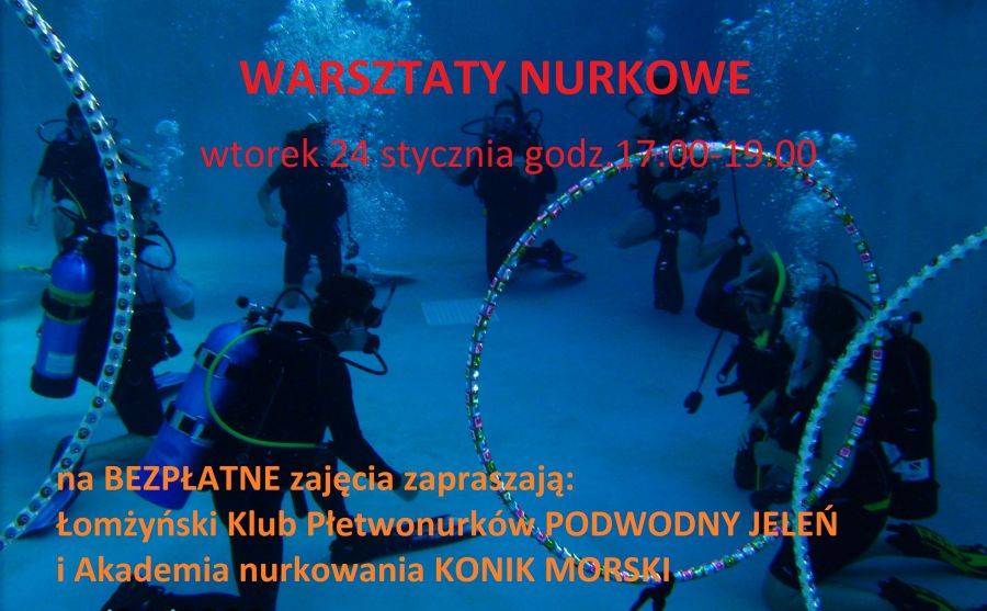 Warsztaty nurkowe w Parku Wodnym