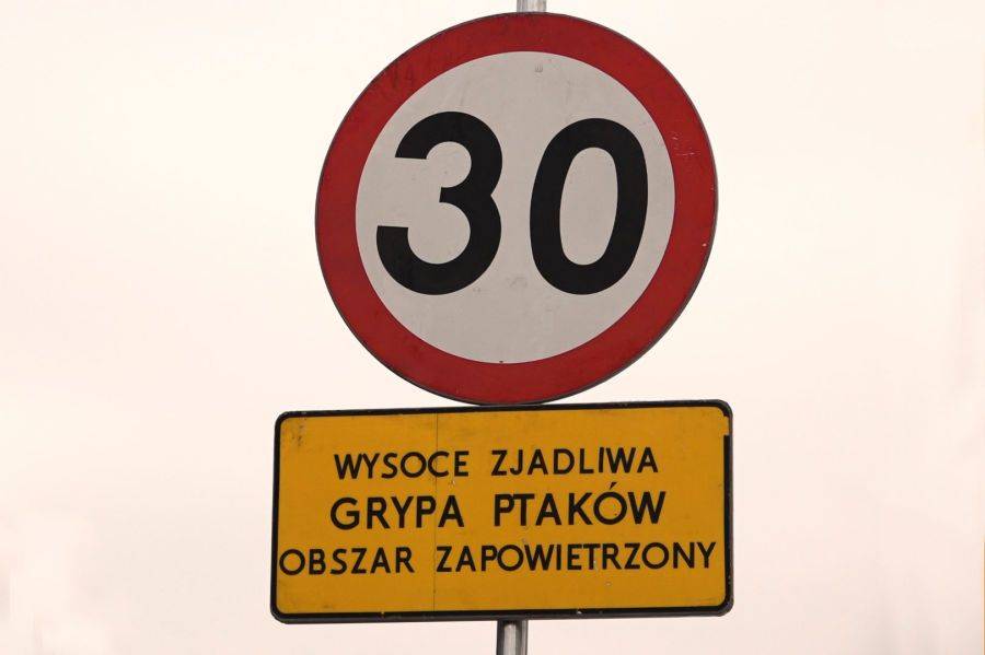 Ptasia grypa coraz bliżej?