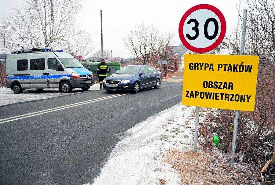Skąd się wzięła ptasia grypa?