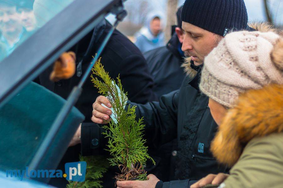 PSL rozdawał drzewka na targowisku [FOTO]