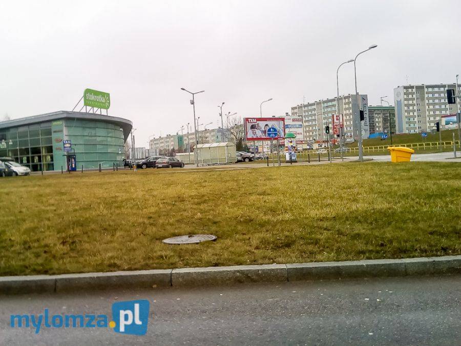 Ciekawy głos Czytelnika w sprawie zieleni w Łomży... [FOTO]