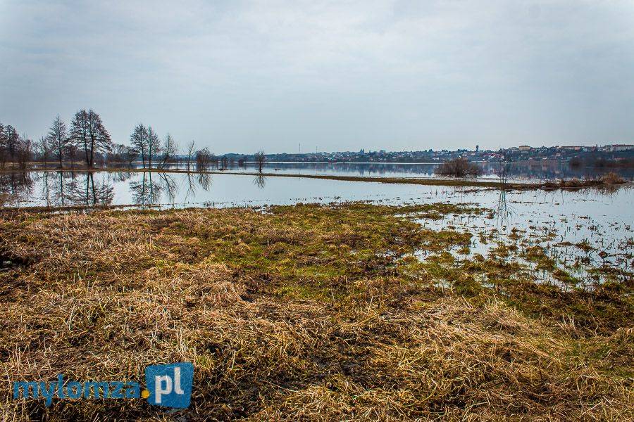 Woda w Narwi opada coraz szybciej