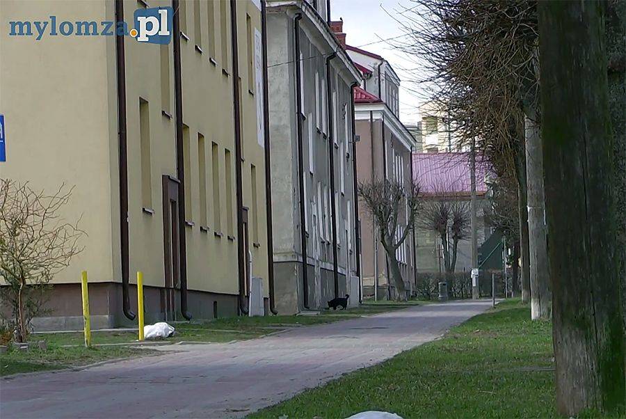 Zabójca z Kolna zatrzymany! [VIDEO]