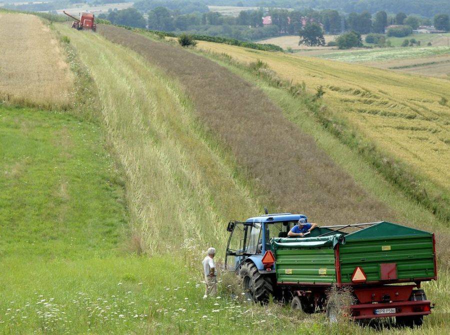 Płatności bezpośrednie. Coraz mniej czasu na złożenie wniosku