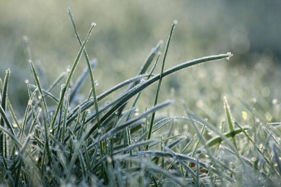 Synoptycy zapowiadają kolejne przymrozki