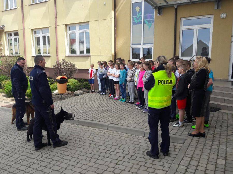 Bezpieczny kącik dla dzieci w Nowogrodzie 