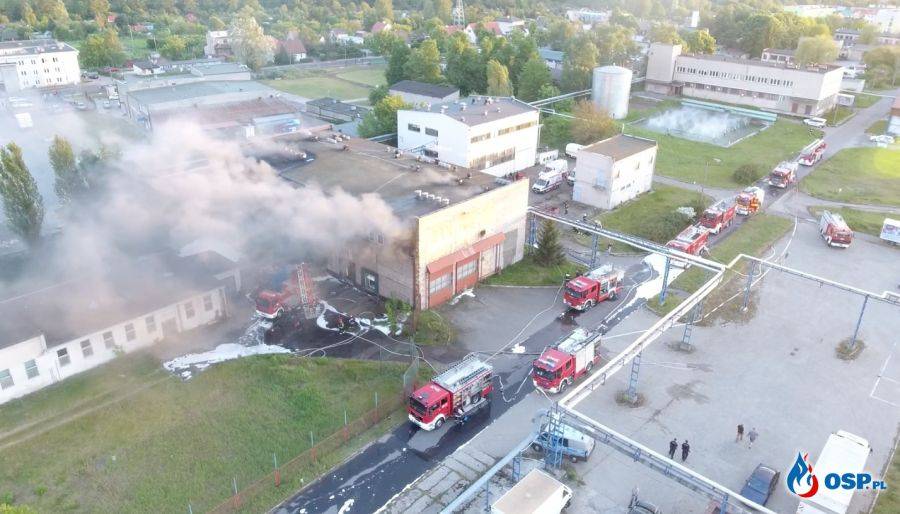 Zginęli w pożarze. Strażackie święto w Łomży odwołane!