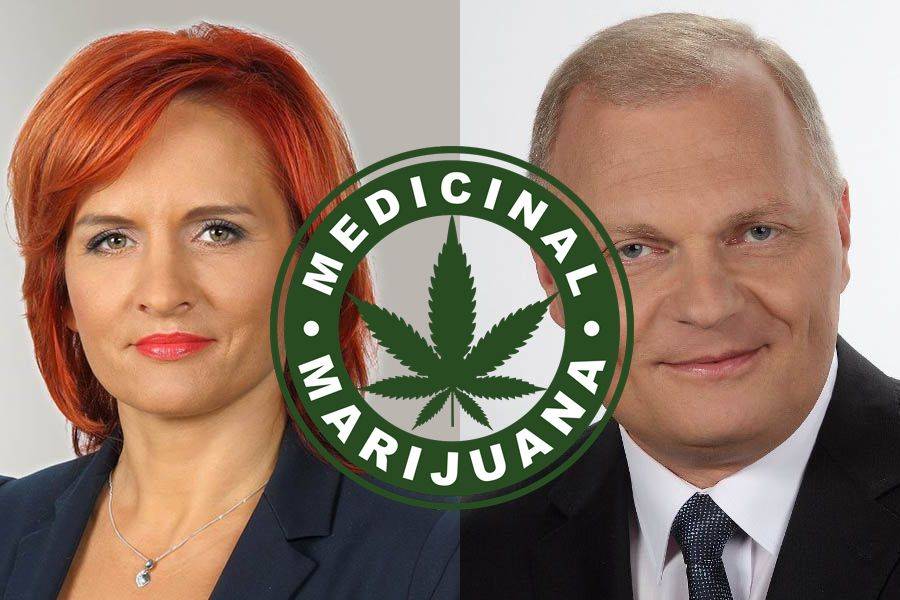 Łomżyńscy posłowie za medyczną marihuaną