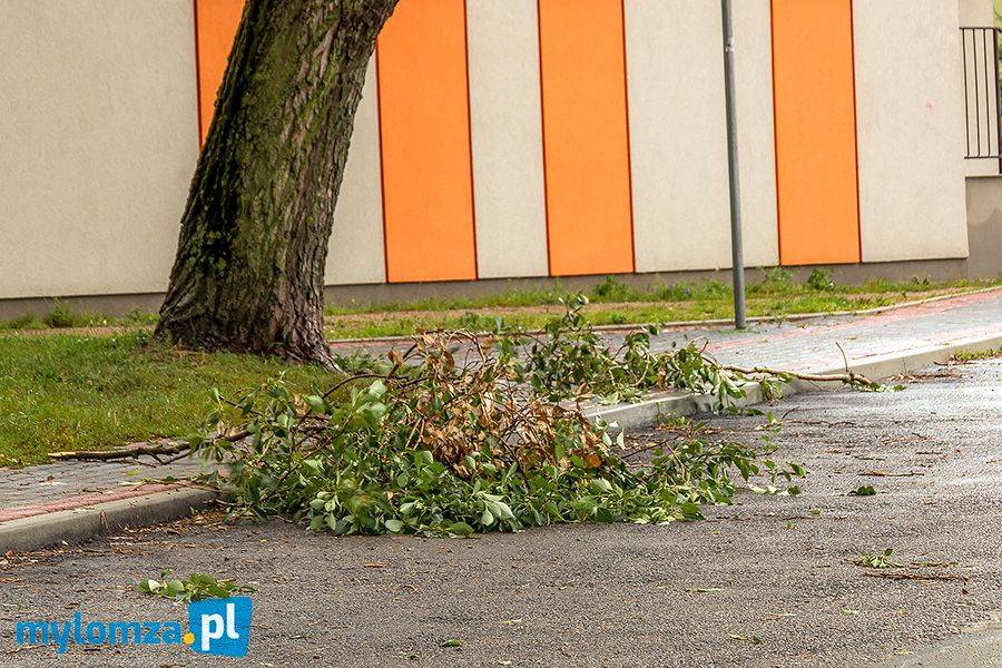 Im bliżej weekendu tym lepsza pogoda?
