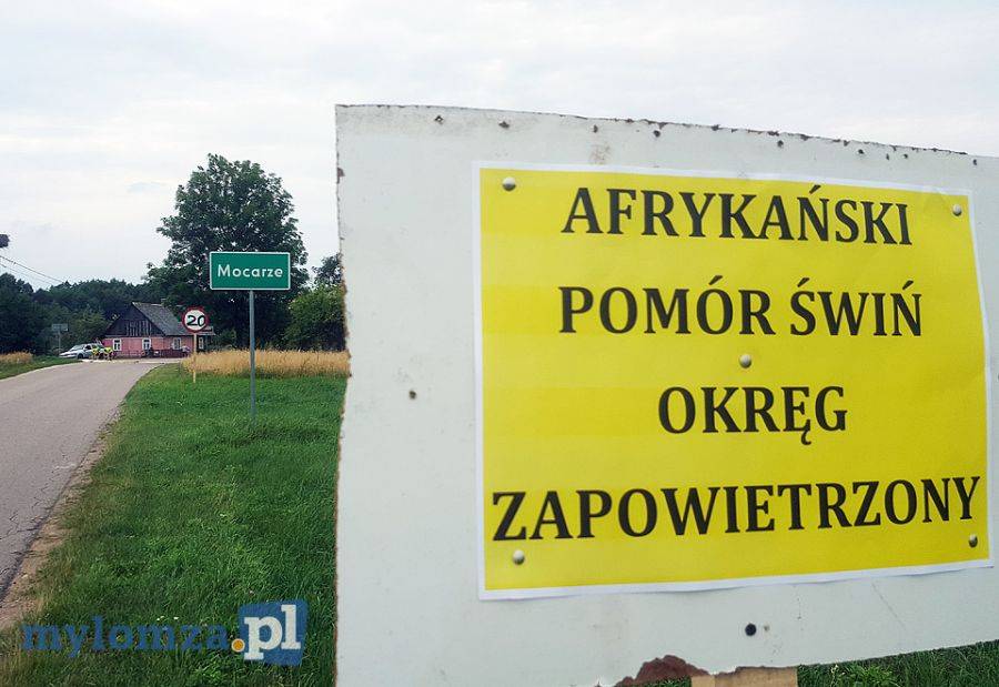 Rozporządzenie wojewody w sprawie ASF