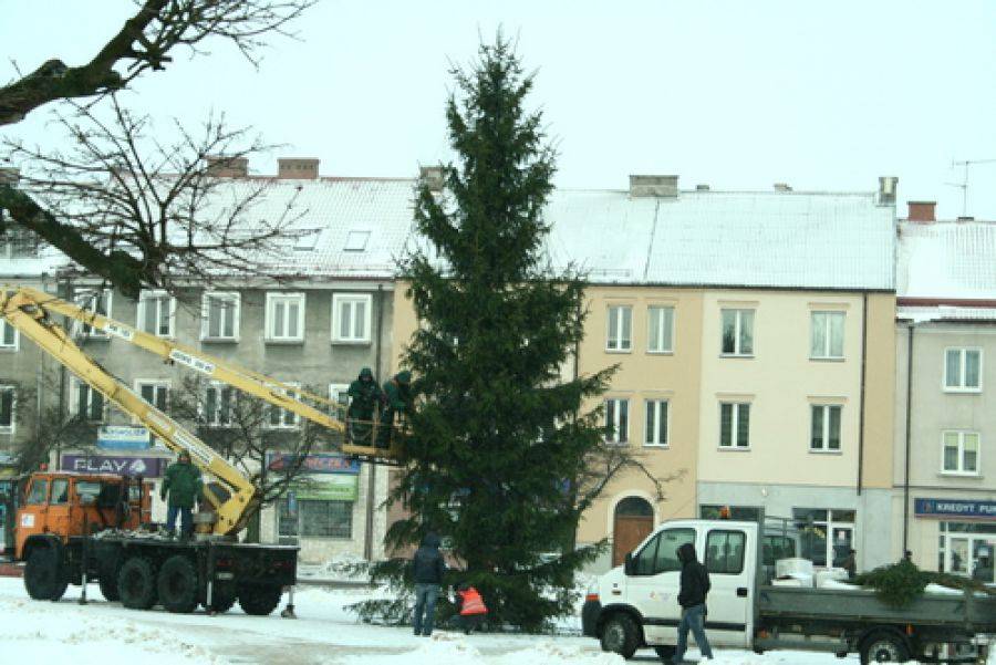 Choinka na Starym Rynku już ubrana