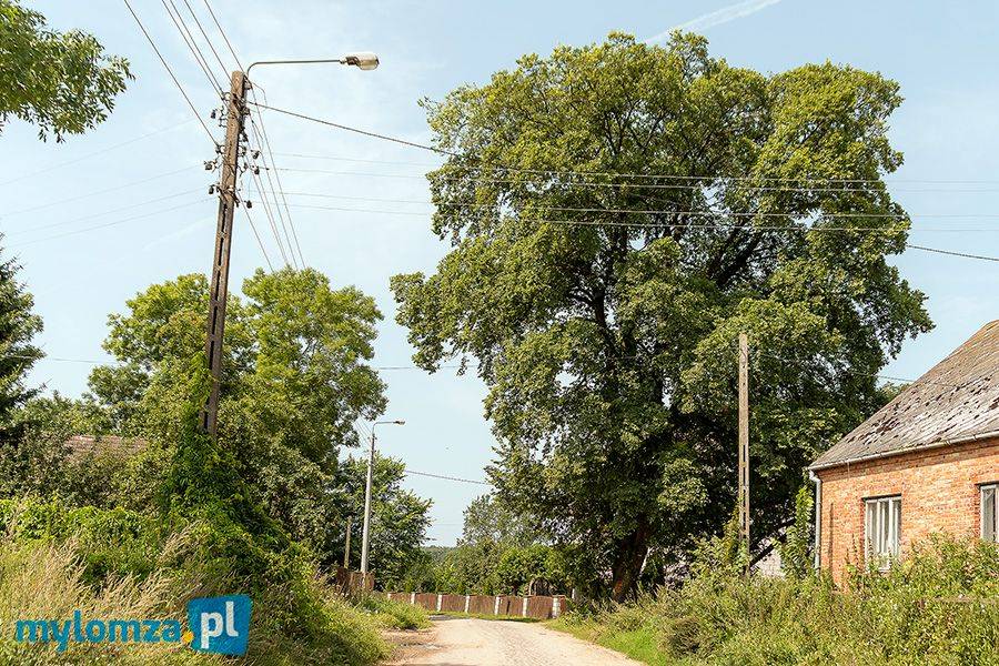 Poważny konflikt wokół budowy drogi Stryjaki - Karwowo w gminie Jedwabne [FOTO]