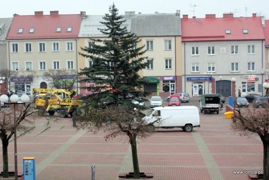 Choinka już stoi na Starym Rynku- FOTO