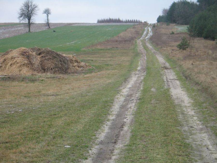 Pieniądze na drogi dla Piątnicy i Wizny