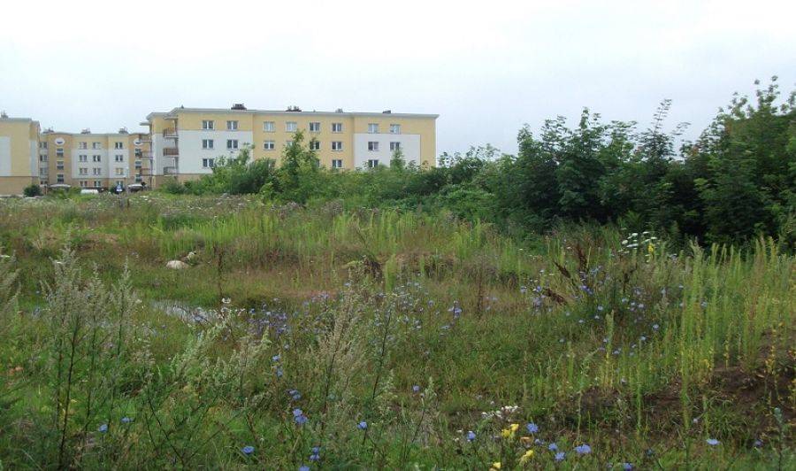 Stacja paliw dostała zielone światło