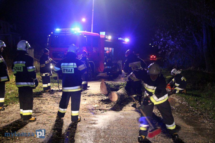 Drzewo na drodze. O krok od tragedii! [FOTO]