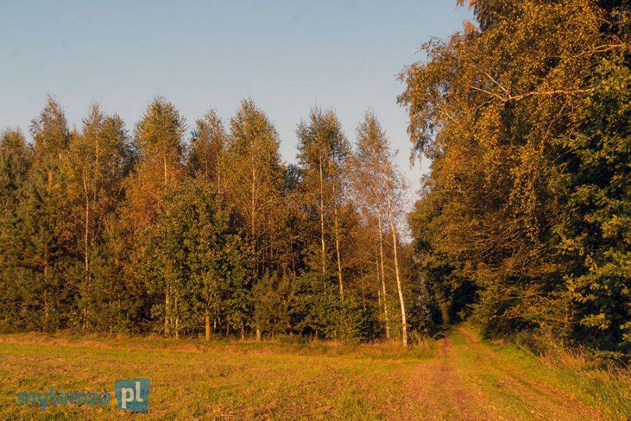 Przed nami ciepły weekend