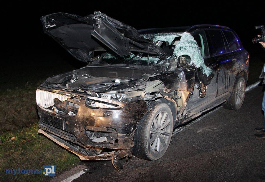 Duże volvo kontra łoś [FOTO]
