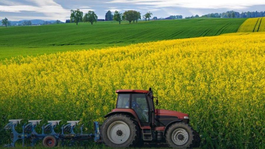 Rolnicy także będą składać JPK_VAT - nowy obowiązek od 1 stycznia