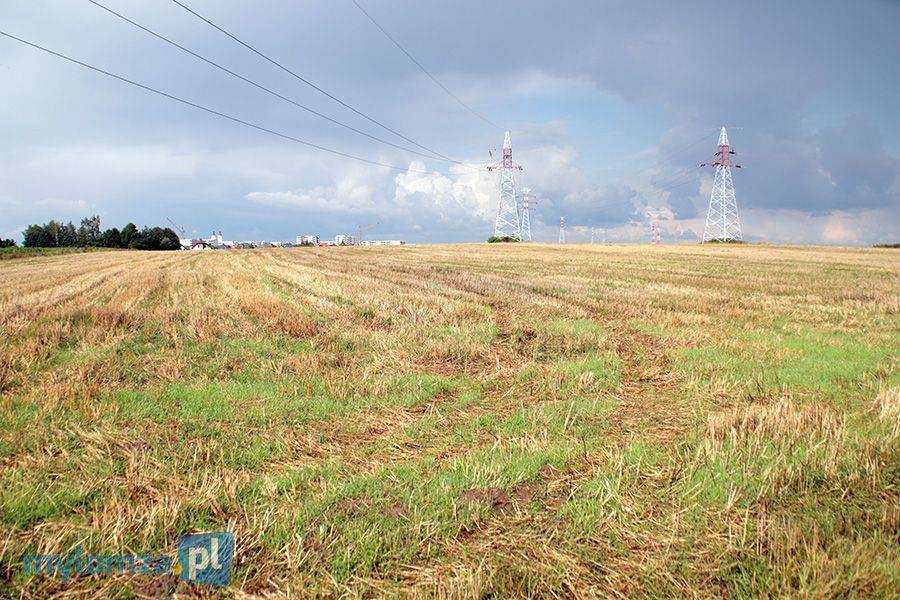 Wyścigi konne w Łomży? Raport z konsultacji społecznych ws. południowo - wschodniej części miasta