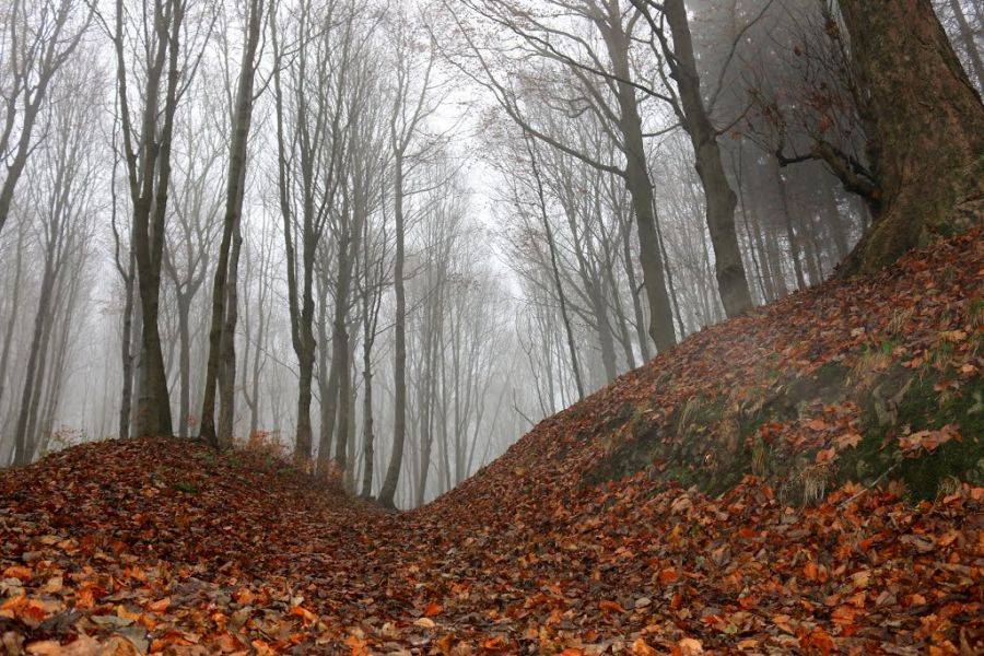 Weekend będzie słoneczny, ale też deszczowy