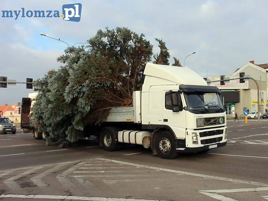 Potężna choinka przyjechała na Stary Rynek [VIDEO i FOTO]