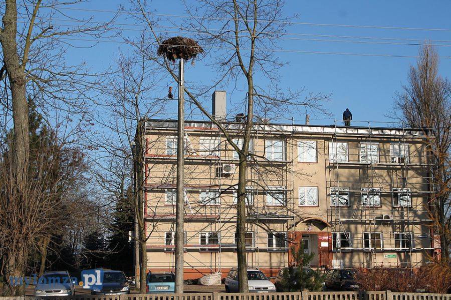 Eksmisja bocianów na Nowogrodzkiej [FOTO]