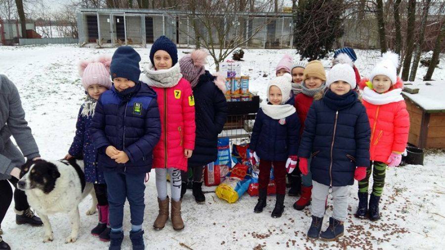Paka dla psiaka z Podgórza do Arki [FOTO]
