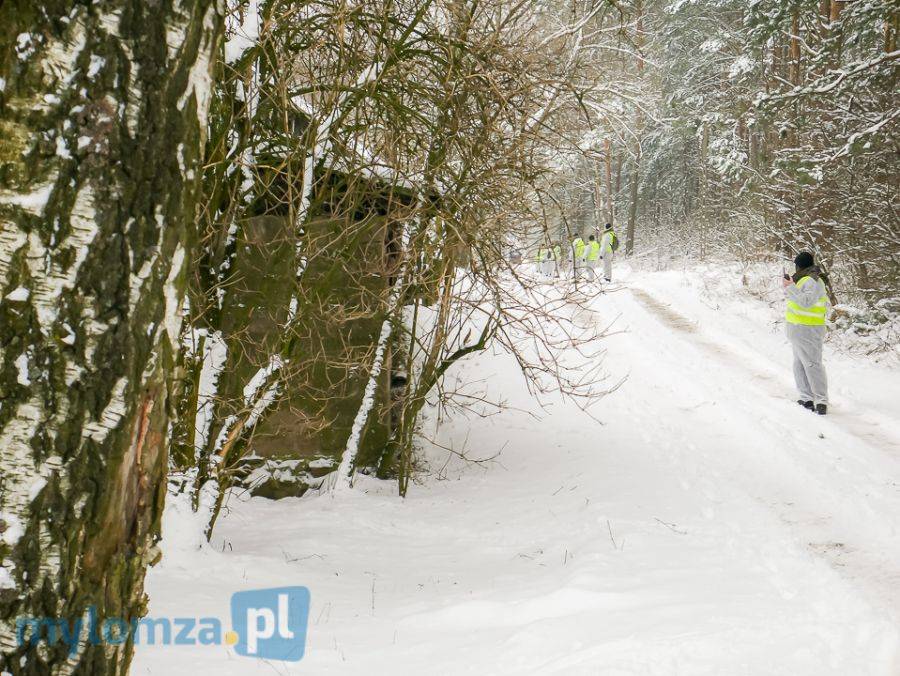 Żołnierze szukają nad Biebrzą padłych dzików [FOTO]