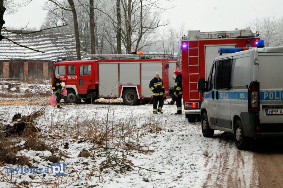 Nie żyje mężczyzna przygnieciony przez drzewo [FOTO]