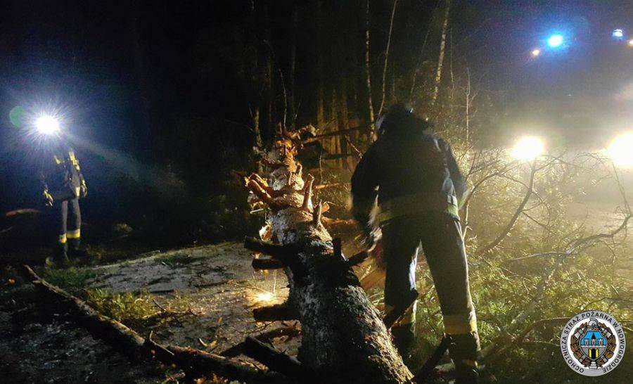 Kto ścina drzewa i blokuje nimi drogi w Gminie Nowogród? [FOTO]