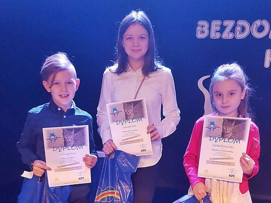 Łomżyńskie koty nagrodzone! [FOTO]