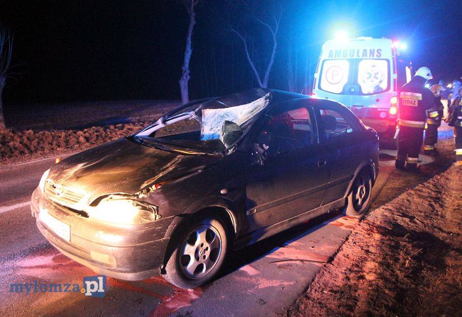 Łoś wbiegł pod samochód. Dwie osoby trafiły do szpitala [FOTO]