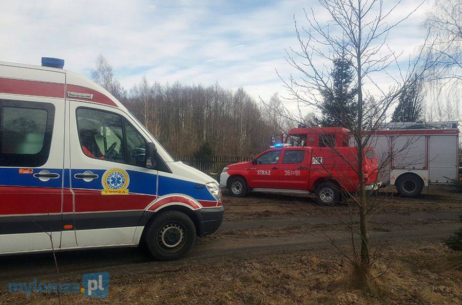 Kobieta zginęła przygnieciona drzewem
