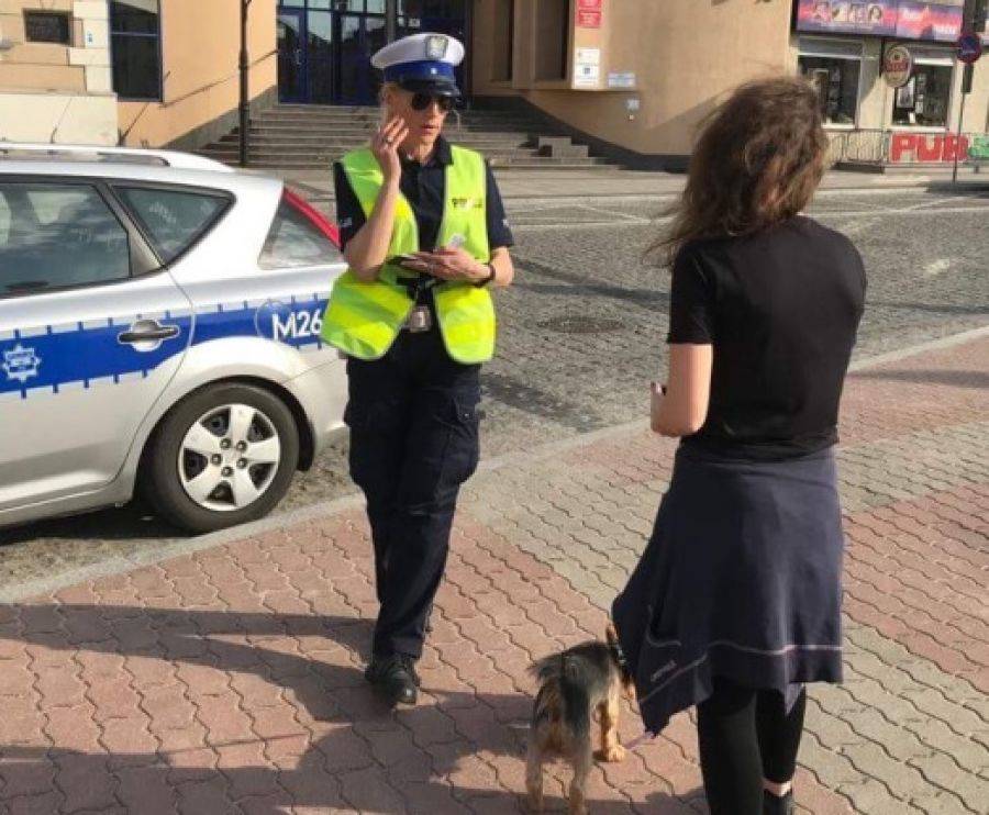 Policjanci pilnowali okolic przejść dla pieszych [FOTO]
