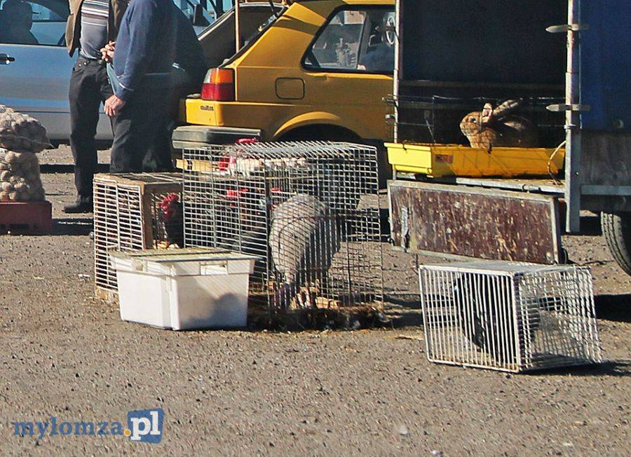 Nielegalny bazar w Łomży. Niedzielny handel kwitnie [FOTO]