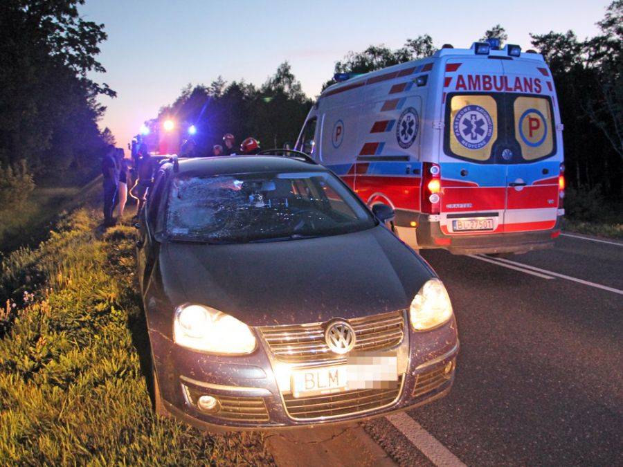 Volkswagen zderzył się z łosiem. Zwierzę zginęło, pasażerka w szpitalu [FOTO]