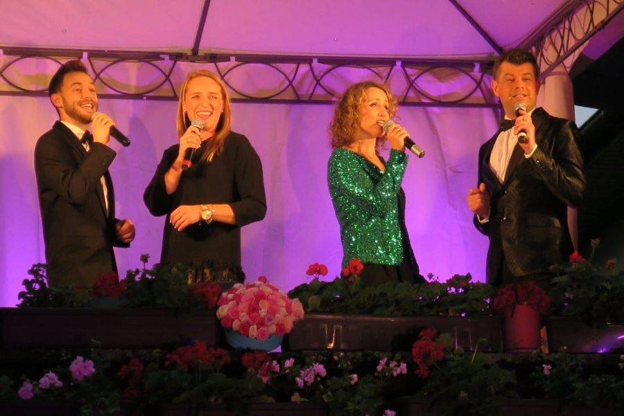 Plenerowy koncert festiwalu w Czartorii [FOTO]