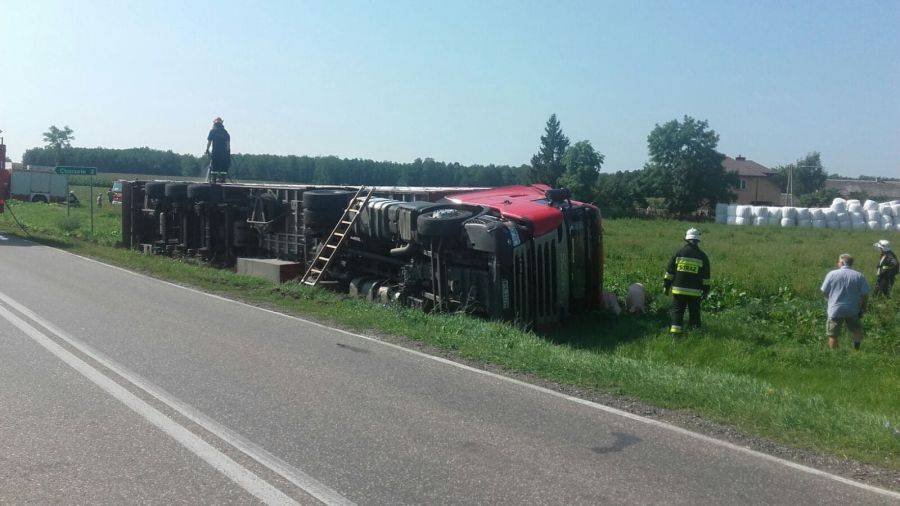 Przewrócona ciężarówka z trzodą chlewną na DK 63