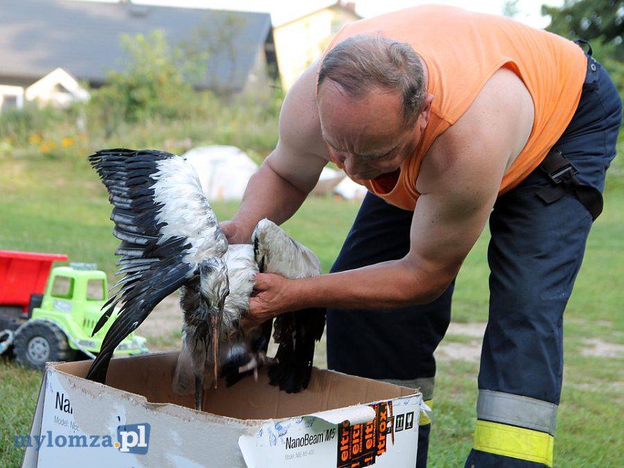 Bociek wpadł do komina. Uratowali go strażacy! [FOTO]