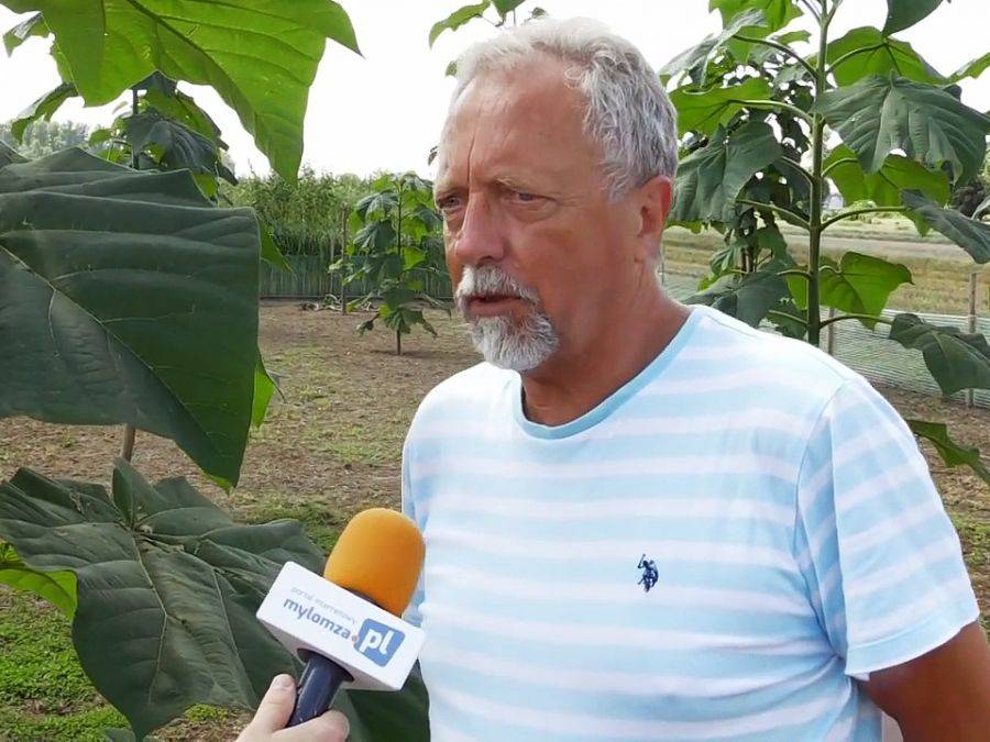 Oxytree! Superdrzewo przyszłości na łomżyńskiej uczelni [VIDEO]